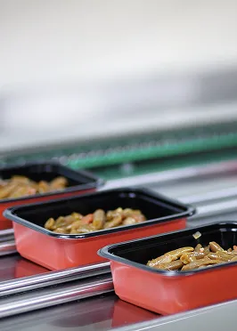 Porselen tabaklarda gastronomi küveti görseli